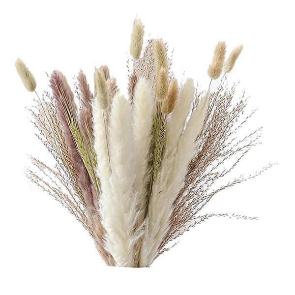 novelty items natural pampas grass decor 40 pieces, 45cm dried white tail wheat dust plant boho
novelty items natural pampas grass decor 40 pieces, 45cm dried white tail wheat dust plant boho