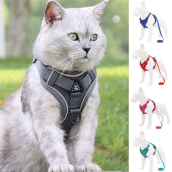 dog collars & leashes vest-style pet chest strap breathable cat walking leash multicolor belt reflective straps comfortable
dog collars & leashes vest-style pet chest strap breathable cat walking leash multicolor belt reflective straps comfortable