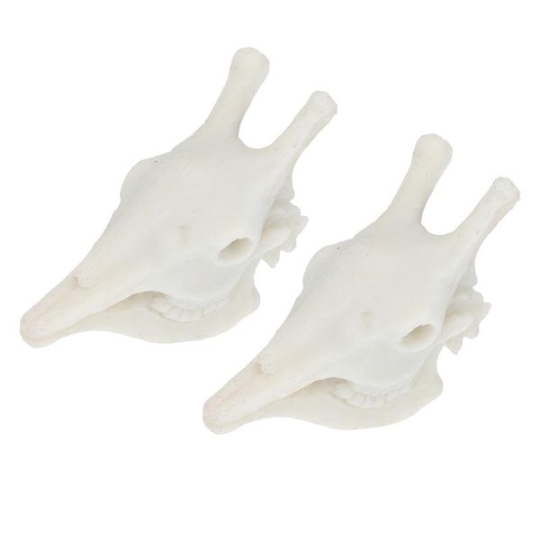 decorations 2pcs aquarium shape ornaments animal design decoration landscaping adorns
decorations 2pcs aquarium shape ornaments animal design decoration landscaping adorns