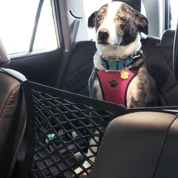 kennels & pens safety pet isolation net dog cat car guard fence front back seat barrier mesh for household outdoor animal protecion
kennels & pens safety pet isolation net dog cat car guard fence front back seat barrier mesh for household outdoor animal protecion