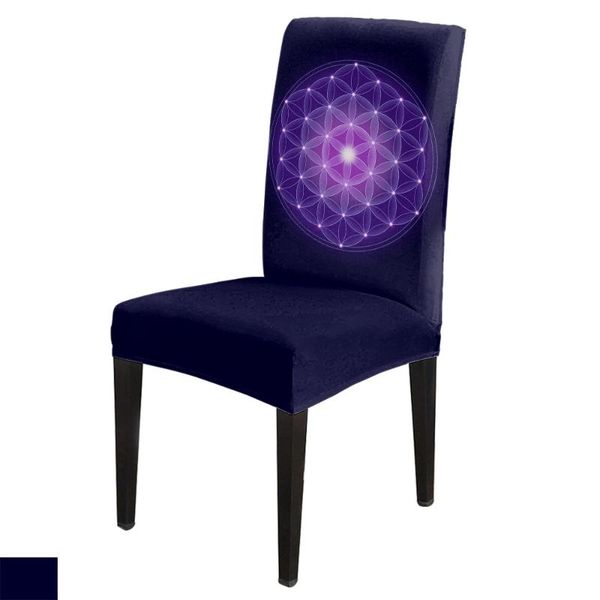 chair covers purple life flower office cover spandex elastic printing home el wedding dining
chair covers purple life flower office cover spandex elastic printing home el wedding dining