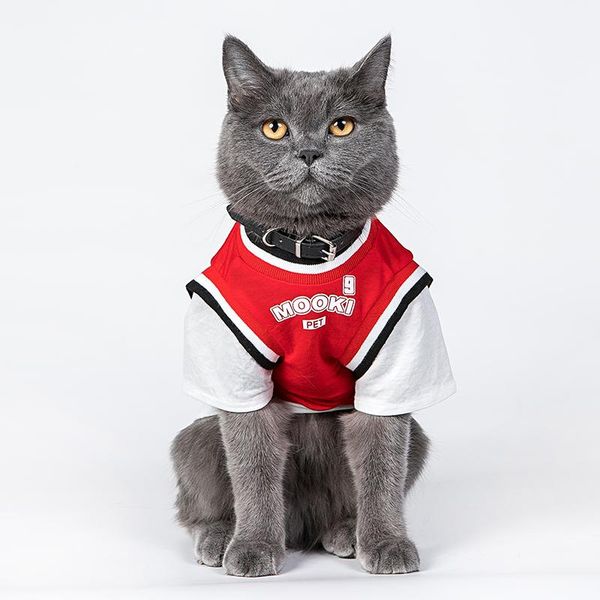 clothes for cats spink suit cat jersey sphynx t-shirt sphinx bald sweatshirt plus size overalls habit chat blouse costumes
clothes for cats spink suit cat jersey sphynx t-shirt sphinx bald sweatshirt plus size overalls habit chat blouse costumes