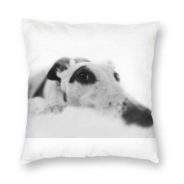 cushion/decorative pillow nordic cute greyhound in mono case home decor decoration whippet animal dog cushion cover sofa bed throw for
cushion/decorative pillow nordic cute greyhound in mono case home decor decoration whippet animal dog cushion cover sofa bed throw for