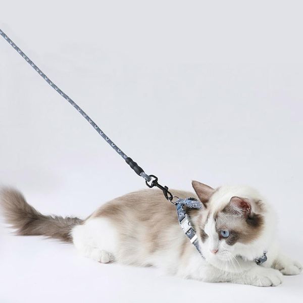 cat harness leash belt collar neck i-shaped strap rope puppy cats dog guide for kitten outdoor walking collars & leashes
cat harness leash belt collar neck i-shaped strap rope puppy cats dog guide for kitten outdoor walking collars & leashes