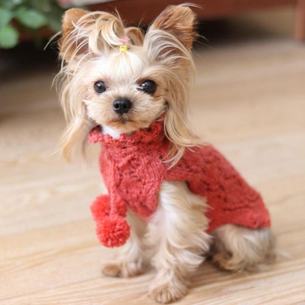 dog apparel high end handmade knitted sweater handsome strap hollow out maltese yorkie chihuahua spring autumn
dog apparel high end handmade knitted sweater handsome strap hollow out maltese yorkie chihuahua spring autumn