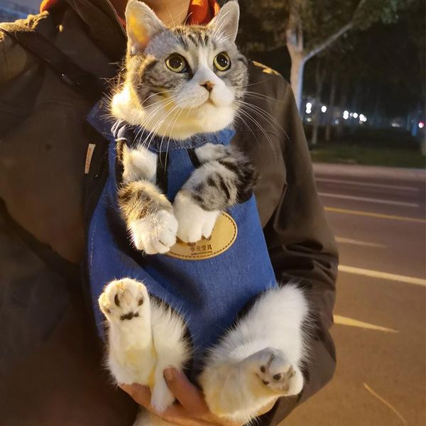 dog car seat covers cat chest bag strap portable outdoor carrying breathable back pet travel backpack artifact
dog car seat covers cat chest bag strap portable outdoor carrying breathable back pet travel backpack artifact