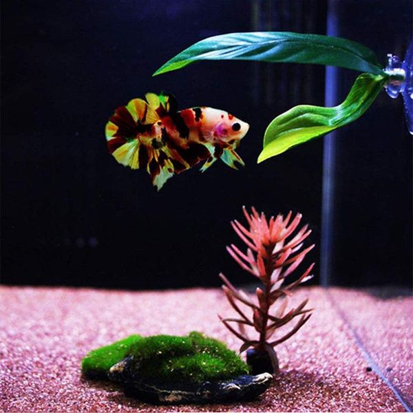 decorations simulation fish aquatic landscaping aquarium decoration long and short fighting leaves tank drop
decorations simulation fish aquatic landscaping aquarium decoration long and short fighting leaves tank drop