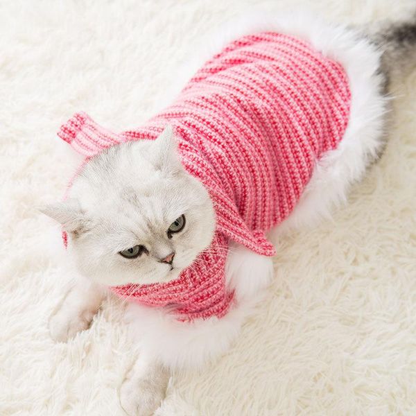 cat costumes clothes pet decorations winter clothing thickened warm and cute anti-lint small dog
cat costumes clothes pet decorations winter clothing thickened warm and cute anti-lint small dog