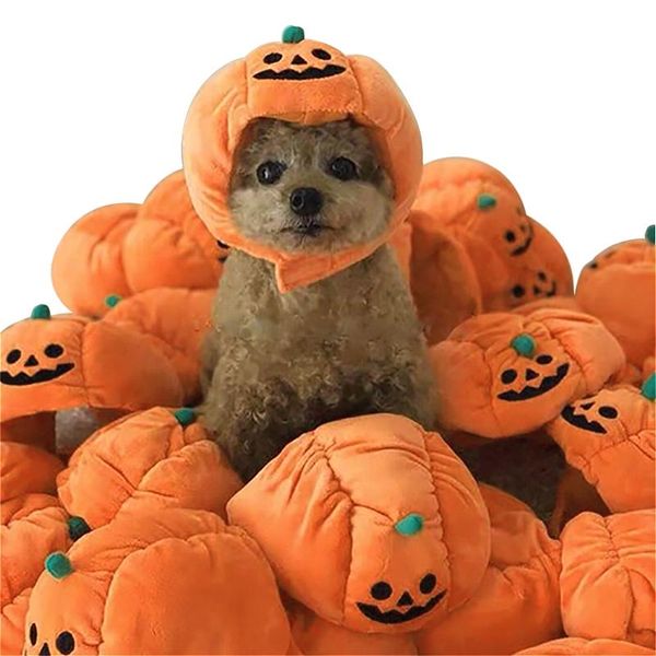 dog apparel pet hat for cat dogs helmet warm cap costumes accessories small puppy fashion funny cute hats
dog apparel pet hat for cat dogs helmet warm cap costumes accessories small puppy fashion funny cute hats