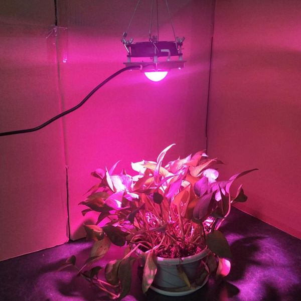 grow lights indoor 50w cob full spectrum led plant light growing phyto lamp for veg flower hydroponic greenhouse
grow lights indoor 50w cob full spectrum led plant light growing phyto lamp for veg flower hydroponic greenhouse
