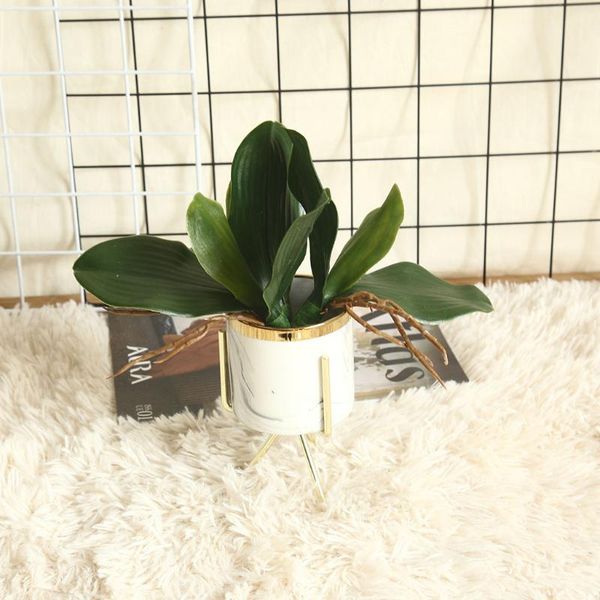 decorative flowers & wreaths phalaenopsis leaf real touch artificial plant orchid leaves fake flower wedding party house decoration ornament
decorative flowers & wreaths phalaenopsis leaf real touch artificial plant orchid leaves fake flower wedding party house decoration ornament