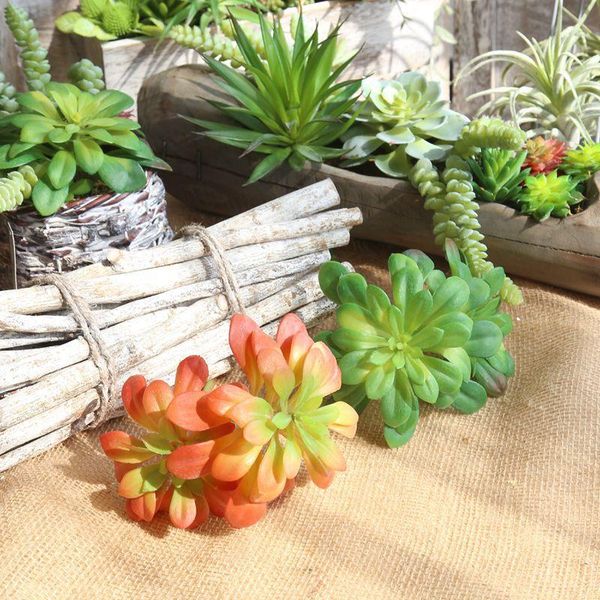decorative flowers & wreaths 2 forks succulents artificial black mage green plants home garden bedroom party office desk room mini bonsai de
decorative flowers & wreaths 2 forks succulents artificial black mage green plants home garden bedroom party office desk room mini bonsai de