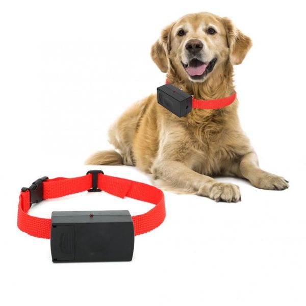 harness dog seat belt accessoires pet collar collars & leashes