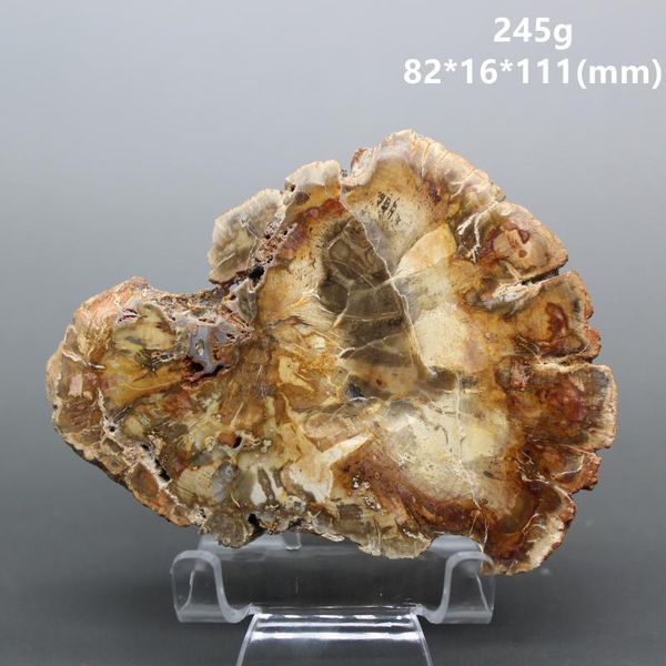 big 100% natural paleontological fossil tree decoration silicified wood jade tea cup mat mineral specimen decorative objects & figurines
big 100% natural paleontological fossil tree decoration silicified wood jade tea cup mat mineral specimen decorative objects & figurines