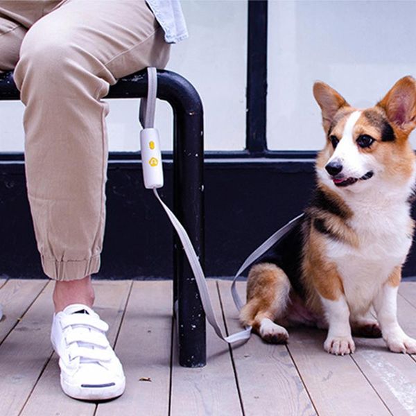 anti lost pet traction rope dog chain accessories puppy lose leash and collar set for small/middle collars & leashes
anti lost pet traction rope dog chain accessories puppy lose leash and collar set for small/middle collars & leashes