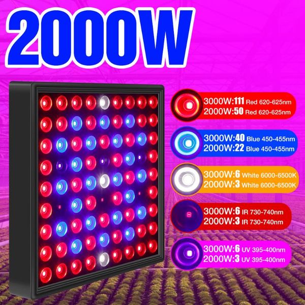 full spectrum led grow light 220v phytolamps for seedlings growing lighting 2000w 3000w fito lamps greenhouse flower growth tent lights
full spectrum led grow light 220v phytolamps for seedlings growing lighting 2000w 3000w fito lamps greenhouse flower growth tent lights