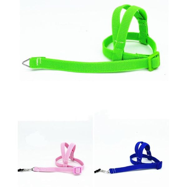 other bird supplies pet parrot harness belt rope outdoor training traction budgerigar
other bird supplies pet parrot harness belt rope outdoor training traction budgerigar