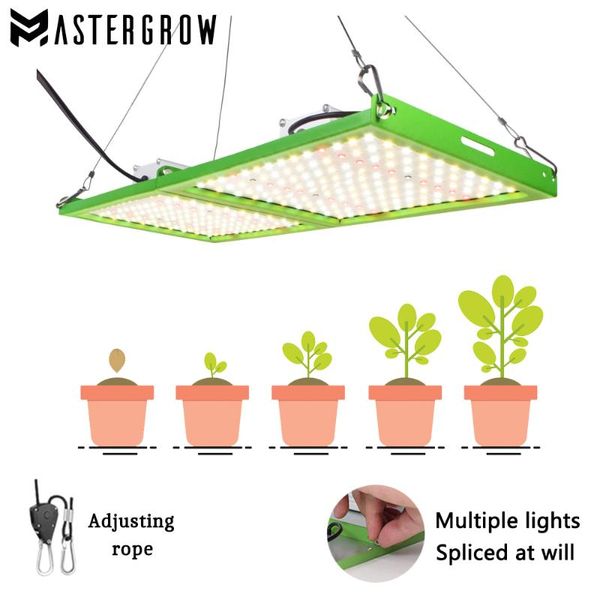 grow lights t600/1200/1800/2400w full spectrum samsung led light with daisy chain can be spliced at will for seedling,veg and blooming
grow lights t600/1200/1800/2400w full spectrum samsung led light with daisy chain can be spliced at will for seedling,veg and blooming