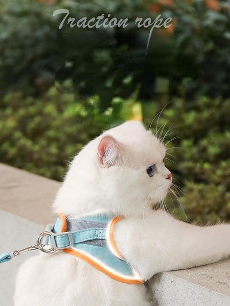 cat collars & leads harness viscous chest straps anti-breaking cat-specific collar necklace lead breathable reflective kitten accessories
cat collars & leads harness viscous chest straps anti-breaking cat-specific collar necklace lead breathable reflective kitten accessories