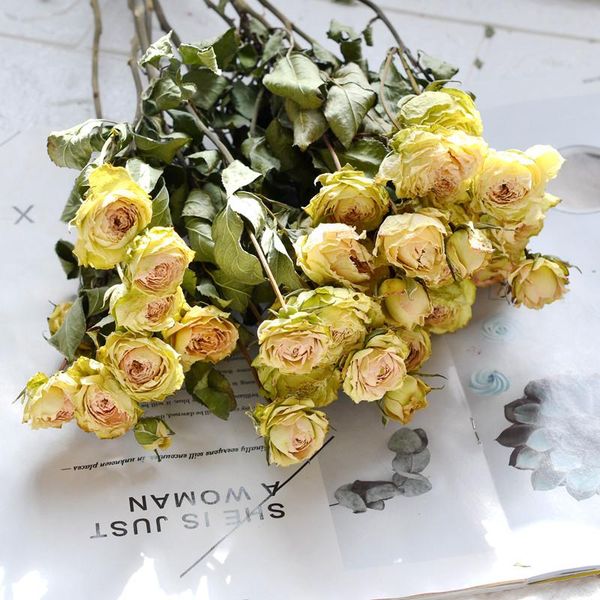 decorative flowers & wreaths 20pcs yellow rose wedding bunch romantic bubble small flower dry bouquet home furnishing decorate red
decorative flowers & wreaths 20pcs yellow rose wedding bunch romantic bubble small flower dry bouquet home furnishing decorate red