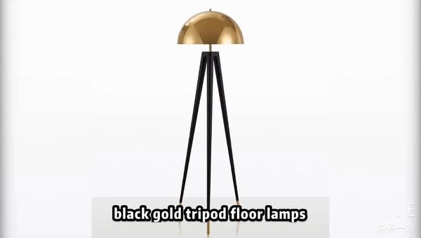 floor lamps corner decorative nordic dimmable standing lamp bronze electroplated metal shade black gold tripod modern
floor lamps corner decorative nordic dimmable standing lamp bronze electroplated metal shade black gold tripod modern