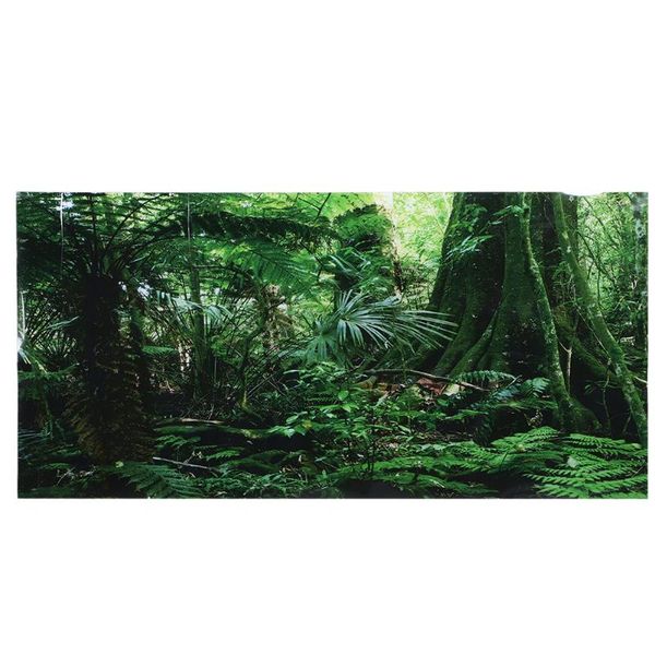 aquarium self adhesive sticker pvc reptile box rainforest background poster fish tank wall picture painting decoration decorations
aquarium self adhesive sticker pvc reptile box rainforest background poster fish tank wall picture painting decoration decorations