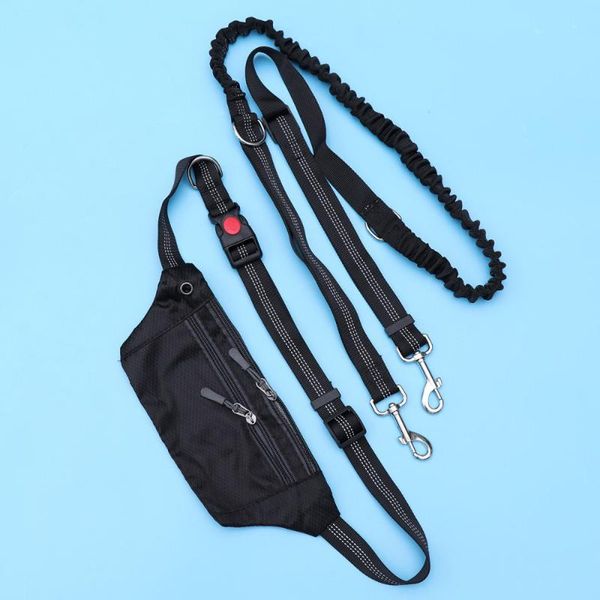 waist support hands dog leash with pack absorbing bungee kit for walking running training jogging (black, random zipper), Black;gray
waist support hands dog leash with pack absorbing bungee kit for walking running training jogging (black, random zipper), Black;gray