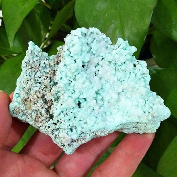 decorative objects & figurines natural clear water green ore specimen specimens home decoration gem collection of scientific research and te
decorative objects & figurines natural clear water green ore specimen specimens home decoration gem collection of scientific research and te