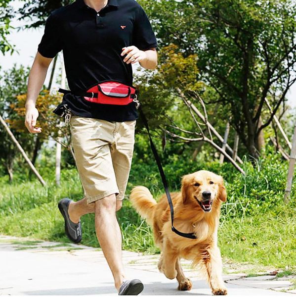 pet dog cat running jogging padded waist belt tailup reflective strip elastic leash walking training set hands collars & leashes
pet dog cat running jogging padded waist belt tailup reflective strip elastic leash walking training set hands collars & leashes