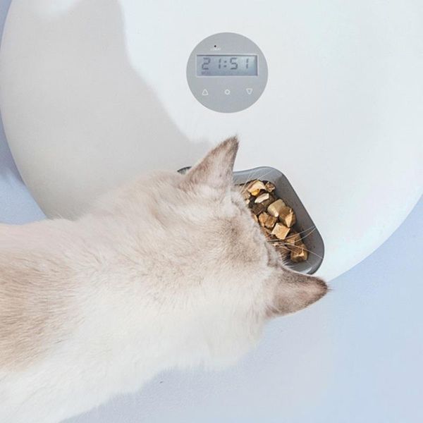cat bowls & feeders round timer and dog electric dry food organizer pet intelligent automatic timing feeding convenient dispenser, 3 colors
cat bowls & feeders round timer and dog electric dry food organizer pet intelligent automatic timing feeding convenient dispenser, 3 colors