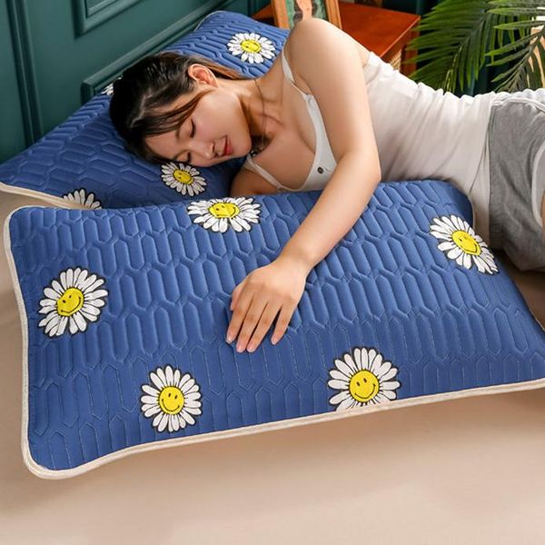 pillow case nordic waterproof sweat-proof double-layer pillowcase latex large plus size couple removable and washable
pillow case nordic waterproof sweat-proof double-layer pillowcase latex large plus size couple removable and washable