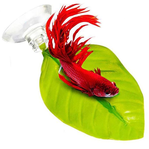 decorations fake tank hide rest spawning ornamental plant with base hammock betta fish vivid play simulation leaf home decoration aquarium
decorations fake tank hide rest spawning ornamental plant with base hammock betta fish vivid play simulation leaf home decoration aquarium