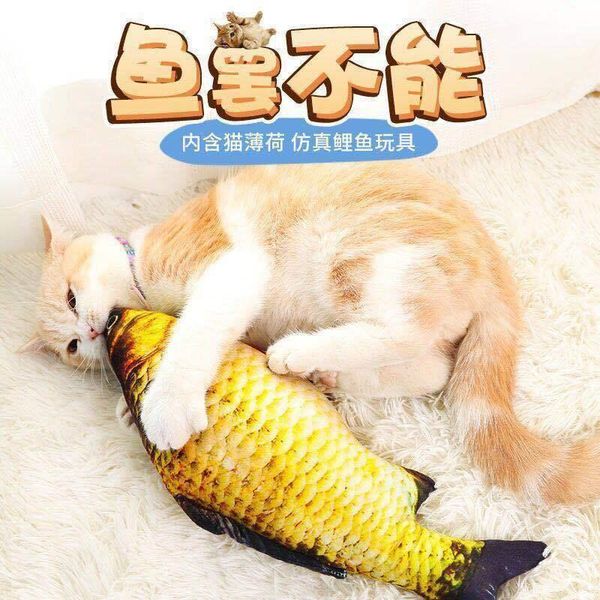 cat toys toy mint fish pillow pet grinding teeth teasing stick mouse kitten simulation mackerel
cat toys toy mint fish pillow pet grinding teeth teasing stick mouse kitten simulation mackerel
