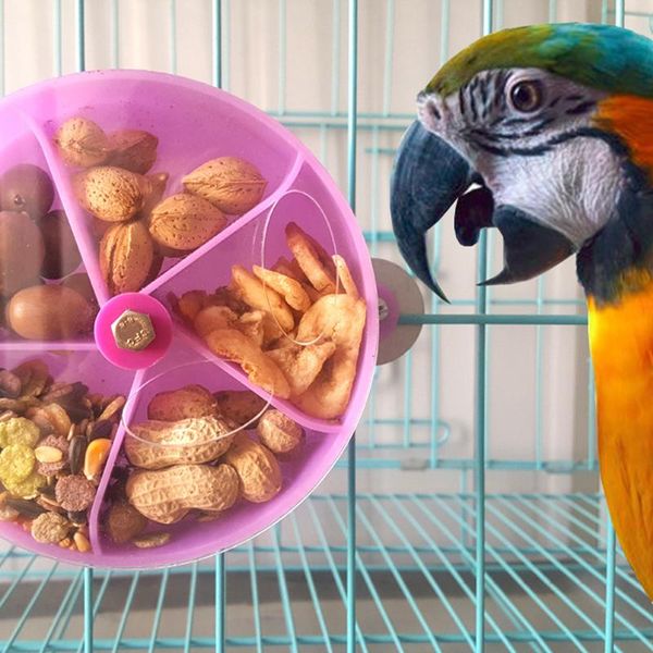 other bird supplies 5 grid funny pet feeder parrot food storage container transparent hanging foraging rotating bowl play toy
other bird supplies 5 grid funny pet feeder parrot food storage container transparent hanging foraging rotating bowl play toy
