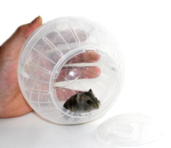 cat toys plastic pet rodent mice jogging ball toy hamster gerbil rat exercise balls play 3 styles
cat toys plastic pet rodent mice jogging ball toy hamster gerbil rat exercise balls play 3 styles