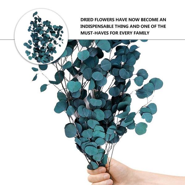eucalyptus dried flowers artificial leaves flower bouquet(red) decorative & wreaths
eucalyptus dried flowers artificial leaves flower bouquet(red) decorative & wreaths