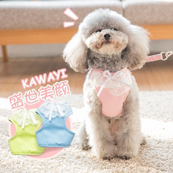 dog collars & leashes leash lace vest rope teddy bear chain small medium sized pet goods
dog collars & leashes leash lace vest rope teddy bear chain small medium sized pet goods