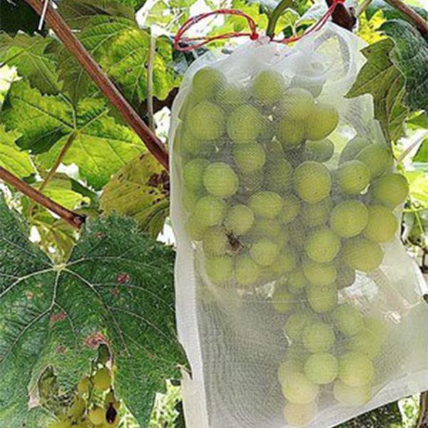 planters & pots 20pcs nylon fruits plant nursery bags grow drawstring seedling planting for grapes garden protection grape
planters & pots 20pcs nylon fruits plant nursery bags grow drawstring seedling planting for grapes garden protection grape