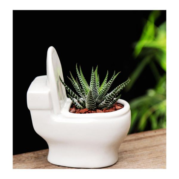 planters & pots white ceramic toilet flower pot creative diy design planter for succulents plants gardening small flowerpot home office gift
planters & pots white ceramic toilet flower pot creative diy design planter for succulents plants gardening small flowerpot home office gift