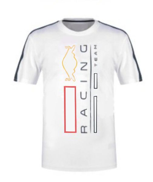 2021f1 formula one racing short-sleeved team crew neck jersey with the same style customization
2021f1 formula one racing short-sleeved team crew neck jersey with the same style customization