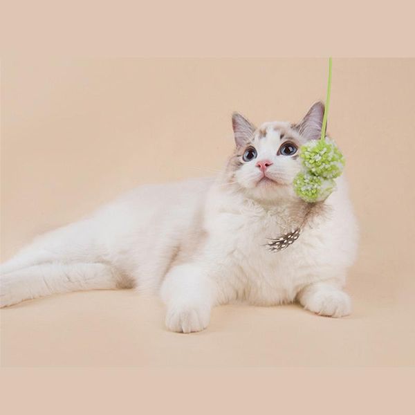 cat feather teasing rod fleece plush hairball interactive pet supplies toy durable training catcher kitten flexible teaser stick toys
cat feather teasing rod fleece plush hairball interactive pet supplies toy durable training catcher kitten flexible teaser stick toys
