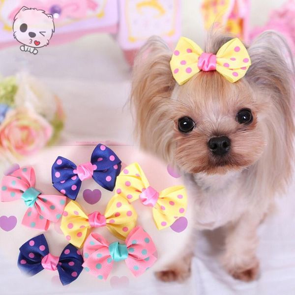 dog apparel yorkshire terrier and poodle hair accessories pet grooming hairpin bows dogs charms cute princess headwear headband
dog apparel yorkshire terrier and poodle hair accessories pet grooming hairpin bows dogs charms cute princess headwear headband