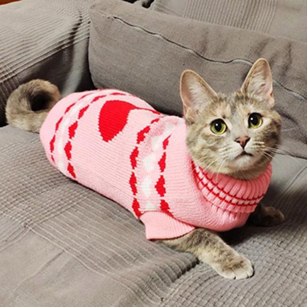 cute cat sweater pullover winter warm pet clothes for cats kedi kitten sweatshirt costume clothing costumes
cute cat sweater pullover winter warm pet clothes for cats kedi kitten sweatshirt costume clothing costumes