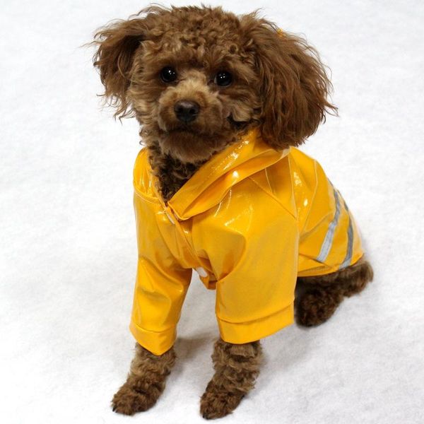 dog apparel venxuis reflective summer raincoat waterproof nylon rain jacket with cap outdoor pet drop
dog apparel venxuis reflective summer raincoat waterproof nylon rain jacket with cap outdoor pet drop