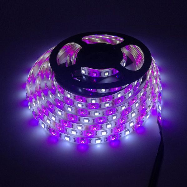 strips fanlive 50m/lot smd led strip waterproof lights ip65 ip20 flexible 5m 300led dc12v rgbw rgbww fita light
strips fanlive 50m/lot smd led strip waterproof lights ip65 ip20 flexible 5m 300led dc12v rgbw rgbww fita light