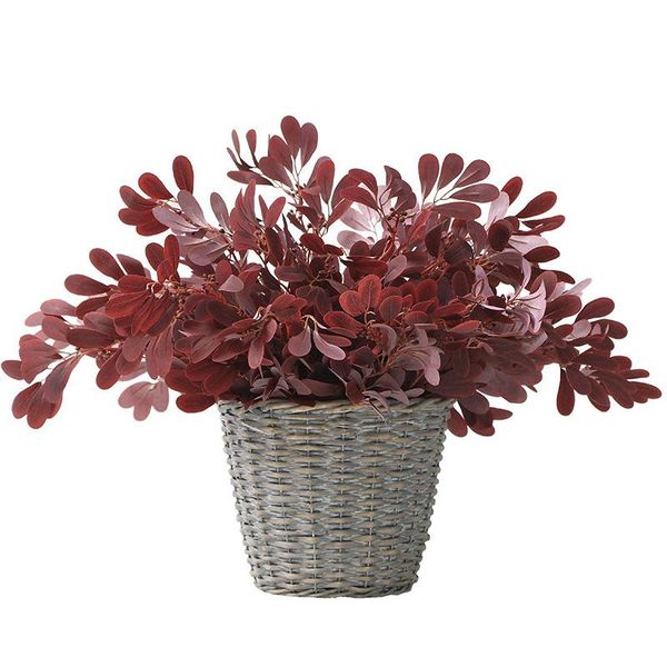 simulation leaves 9 green jujube bunch of plants wedding home decoration potted flower arrangement decorative flowers & wreaths
simulation leaves 9 green jujube bunch of plants wedding home decoration potted flower arrangement decorative flowers & wreaths