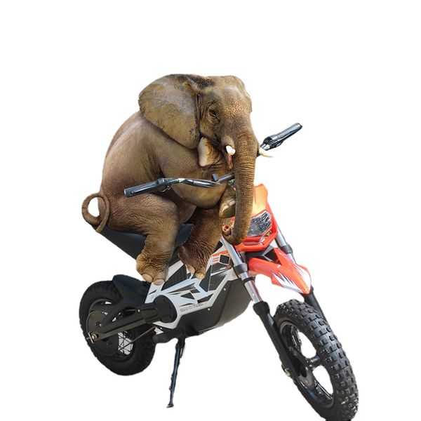 36v 500w electric scooter motorcycle for children mid drive motor 35km/h max speed off road moto electrique 13ah battery no vat
36v 500w electric scooter motorcycle for children mid drive motor 35km/h max speed off road moto electrique 13ah battery no vat