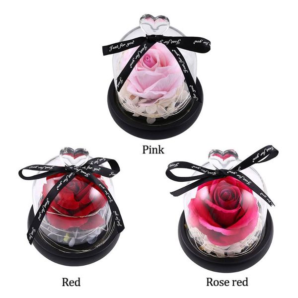 party decoration led usb string night light glass cover artificial rose flower home bedroom wedding holiday valentine's day gift
party decoration led usb string night light glass cover artificial rose flower home bedroom wedding holiday valentine's day gift