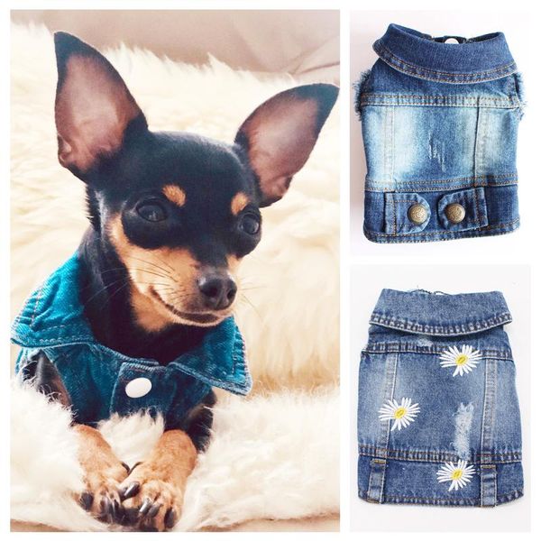 dog apparel designer small tshirt jeans coat blank classic denim jacket for shih tzu cowboy vest chihuahua drop
dog apparel designer small tshirt jeans coat blank classic denim jacket for shih tzu cowboy vest chihuahua drop