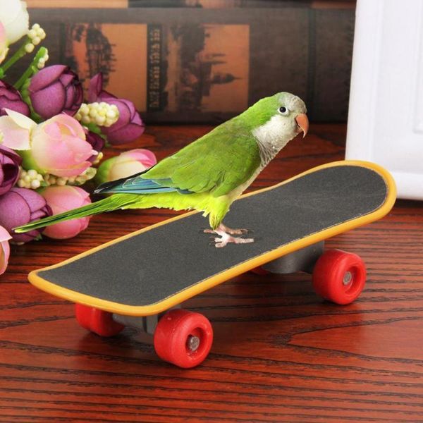 other bird supplies 1pc small and medium parrot educational toys mini skateboard toy pet intellectual claw training products
other bird supplies 1pc small and medium parrot educational toys mini skateboard toy pet intellectual claw training products